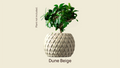 Leaf Planter