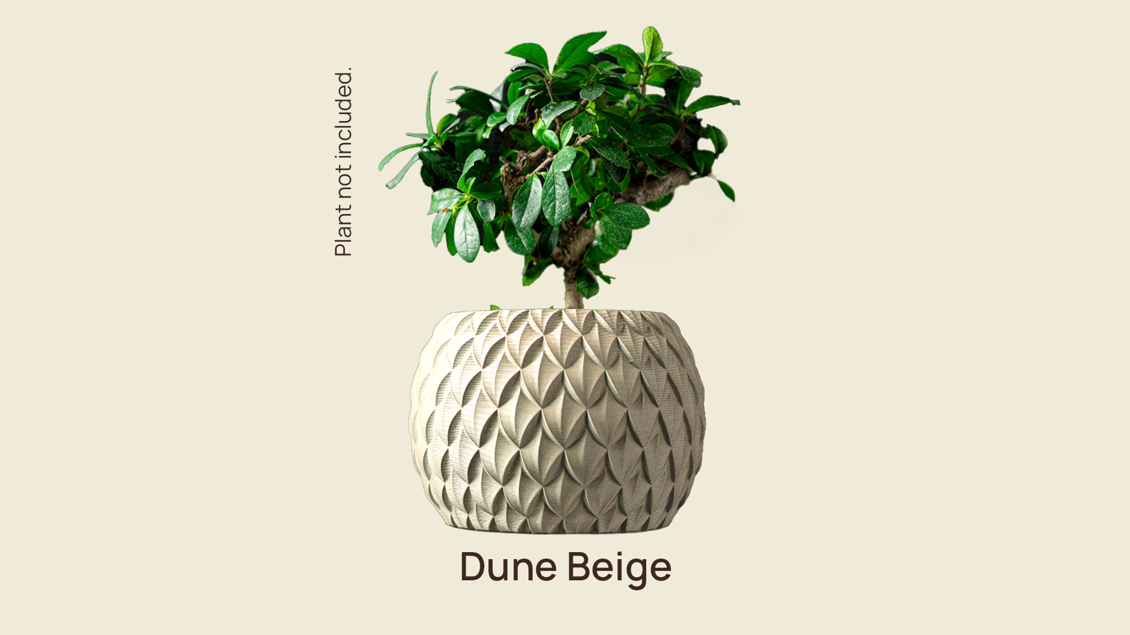 Leaf Planter
