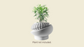 Luxar Planter