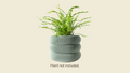 Maro Planter