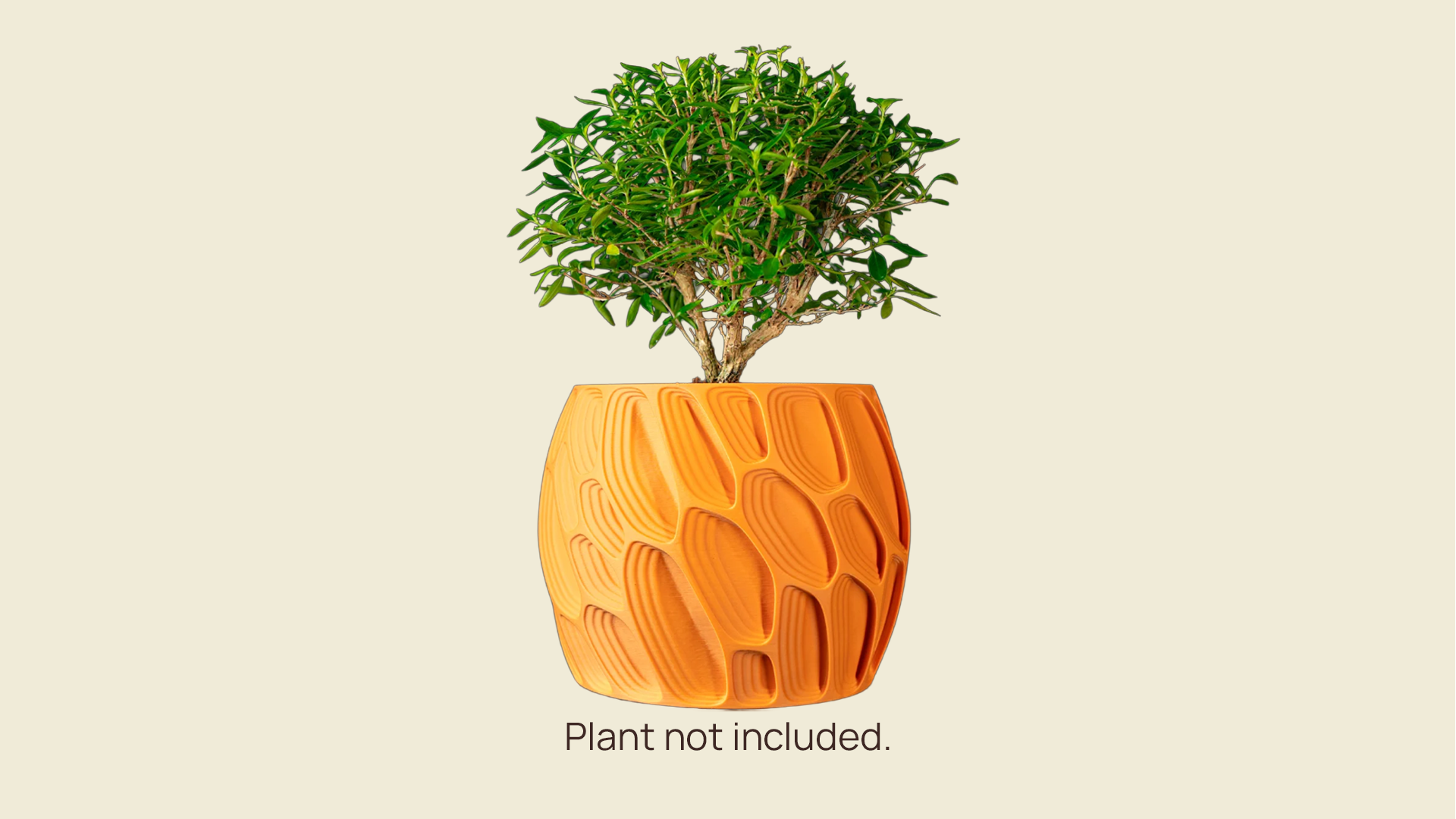 Ringo Planter