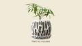 Roots Planter