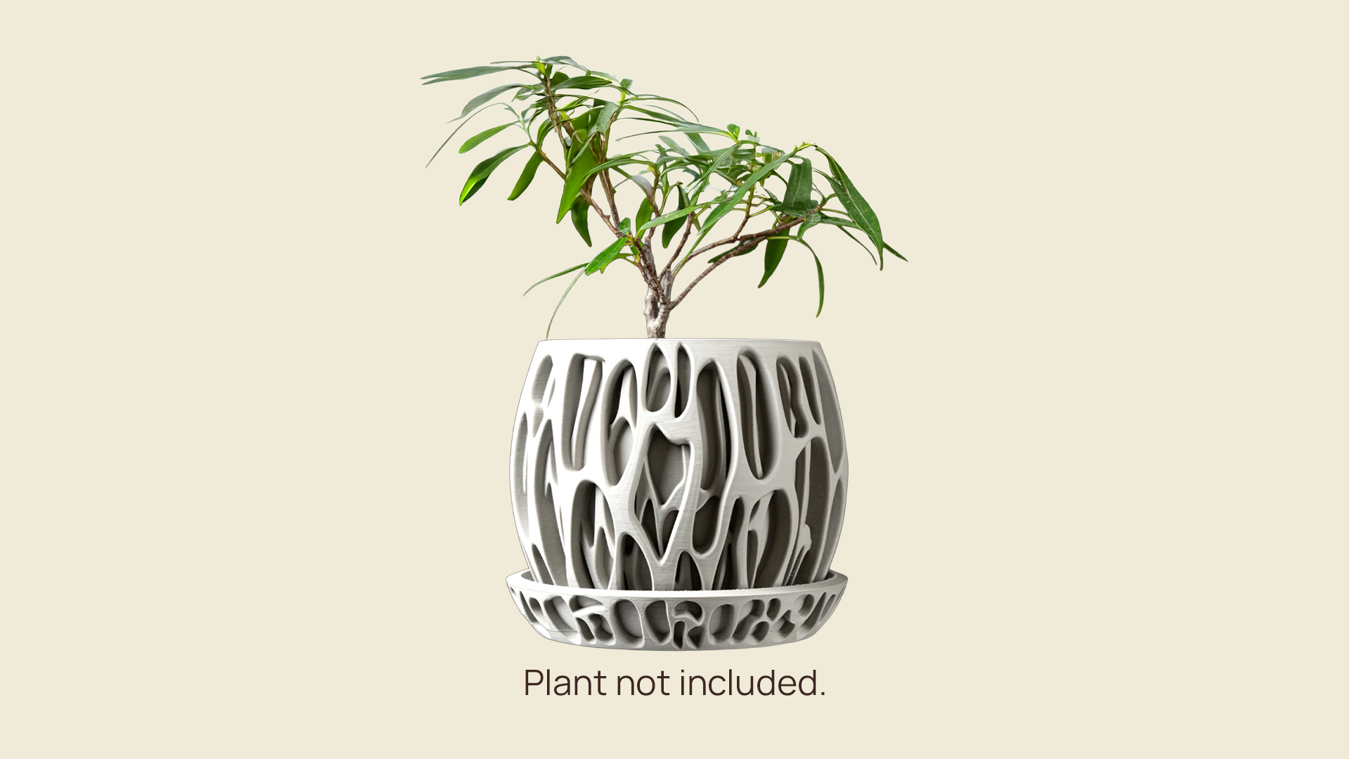 Roots Planter
