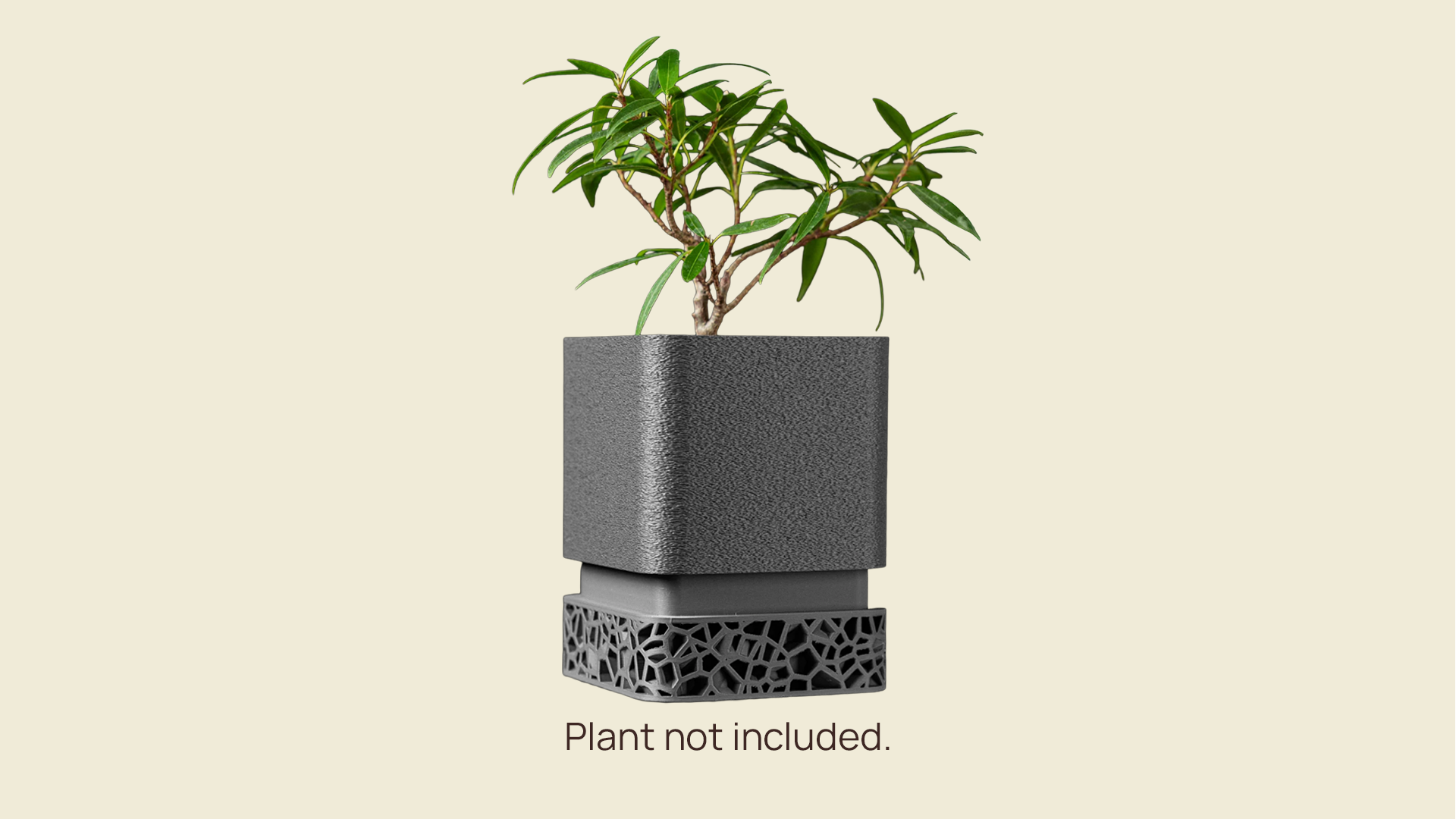 Vori Planter